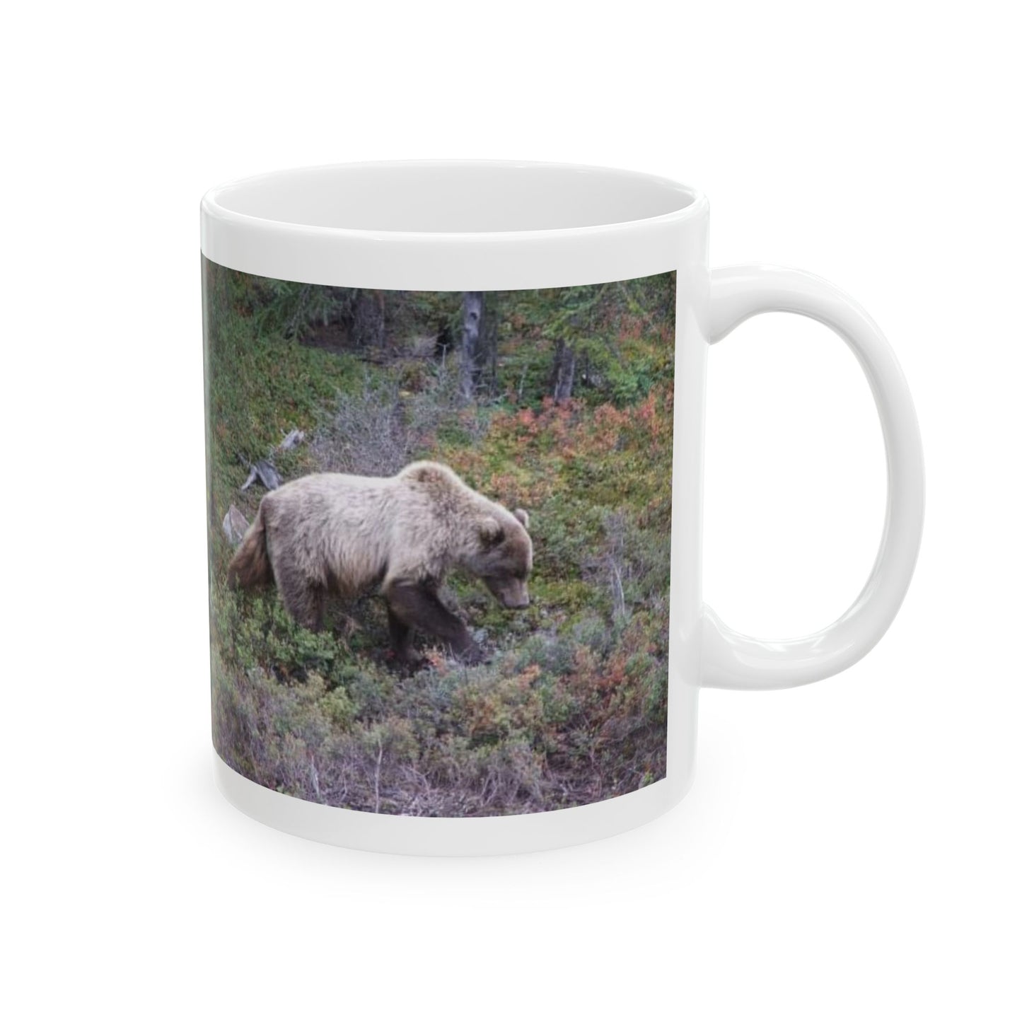 Denali Bear Mug