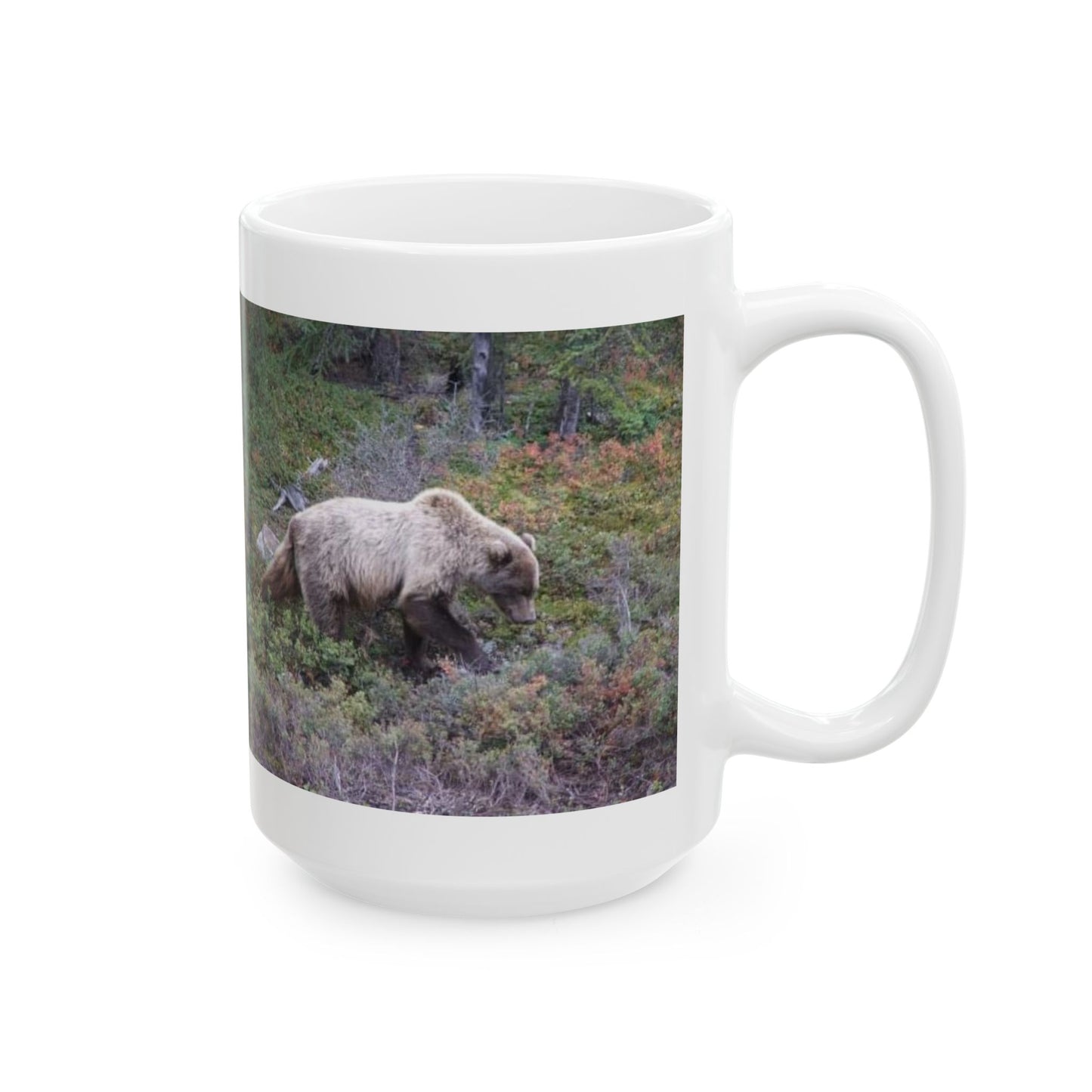 Denali Bear Mug